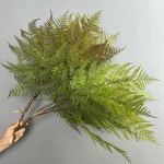 仿真虎耳蕨植物波斯蕨大叶蕨草客厅装饰绿植墙面造景蕨类假草