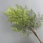仿真虎耳蕨植物波斯蕨大叶蕨草客厅装饰绿植墙面造景蕨类假草