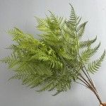 仿真虎耳蕨植物波斯蕨大叶蕨草客厅装饰绿植墙面造景蕨类假草