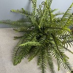 波斯蕨波斯叶蕨类植物仿真绿植微景观造景地插美陈装饰绿叶叶材
