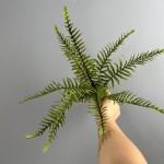 波斯蕨波斯叶蕨类植物仿真绿植微景观造景地插美陈装饰绿叶叶材