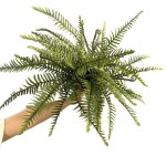 波斯蕨波斯叶蕨类植物仿真绿植微景观造景地插美陈装饰绿叶叶材