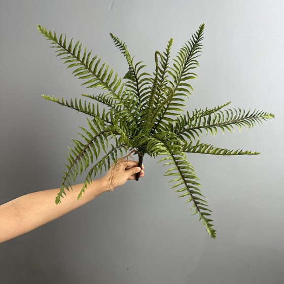 波斯蕨波斯叶蕨类植物仿真绿植微景观造景地插美陈装饰绿叶叶材