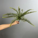 波斯蕨波斯叶蕨类植物仿真绿植微景观造景地插美陈装饰绿叶叶材