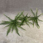 波斯蕨波斯叶蕨类植物仿真绿植微景观造景地插美陈装饰绿叶叶材