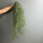 新款老人须仿真花婚礼堂婚庆空气草假花家居吊兰绿植装饰垂吊造景