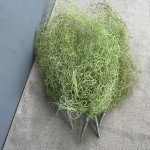 新款老人须仿真花婚礼堂婚庆空气草假花家居吊兰绿植装饰垂吊造景