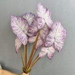 3D打印彩叶芋仿真绿植造景家居装饰海芋叶海棠叶彩芋叶摄影道具