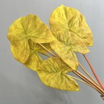3D打印彩叶芋仿真绿植造景家居装饰海芋叶海棠叶彩芋叶摄影道具