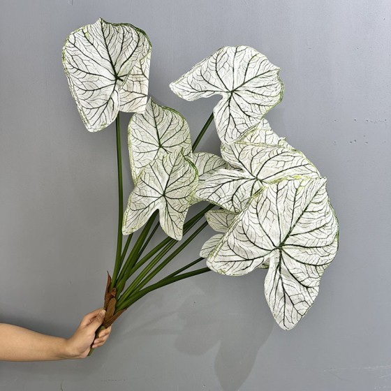 3D打印彩叶芋仿真绿植造景家居装饰海芋叶海棠叶彩芋叶摄影道具