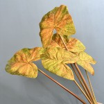 3D打印彩叶芋仿真绿植造景家居装饰海芋叶海棠叶彩芋叶摄影道具