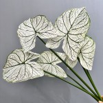 3D打印彩叶芋仿真绿植造景家居装饰海芋叶海棠叶彩芋叶摄影道具