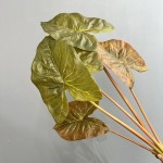3D打印彩叶芋仿真绿植造景家居装饰海芋叶海棠叶彩芋叶摄影道具