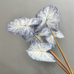 3D打印彩叶芋仿真绿植造景家居装饰海芋叶海棠叶彩芋叶摄影道具