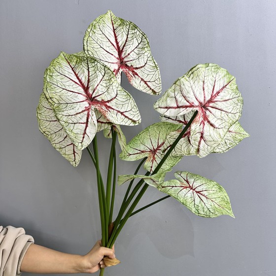 3D打印彩叶芋仿真绿植造景家居装饰海芋叶海棠叶彩芋叶摄影道具
