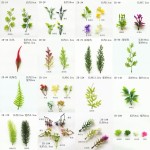 塑料仿真水草假花束配草鱼缸造景水草假草波斯叶幼儿园植物墙装饰