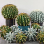 仿真仙人球盆栽北欧植物造景摆件假绿植装饰热带沙漠绿植橱窗陈列