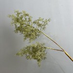 仿真高品质黄栌绿植迷雾松烟树雾凇草 婚庆假花造景装饰千丝草