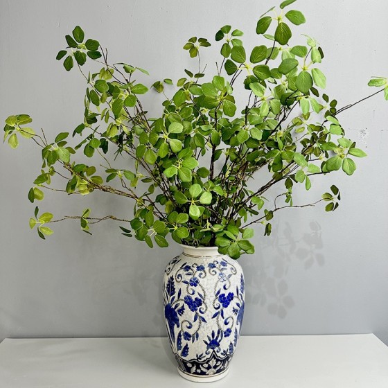 植物长藤观音莲叶室内绿植装饰藤蔓空间陈列婚庆造景植物藤蔓