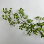 植物长藤观音莲叶室内绿植装饰藤蔓空间陈列婚庆造景植物藤蔓
