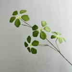 植物长藤观音莲叶室内绿植装饰藤蔓空间陈列婚庆造景植物藤蔓