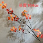 植物长藤观音莲叶室内绿植装饰藤蔓空间陈列婚庆造景植物藤蔓