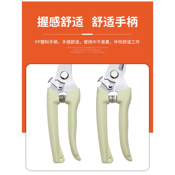 园艺剪刀修枝剪果树粗枝剪花艺插花剪家用花卉盆栽修剪树枝剪刀