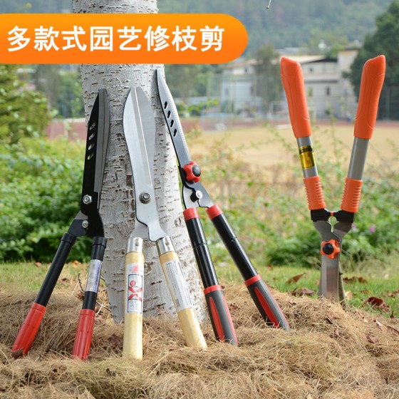 园艺修剪工具大花剪剪剪花剪绿化整形德之助园林修枝剪草坪枝剪