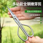 嫩叶剪刀盆景工具树枝剪加长不锈钢园艺剪嫩叶芽修枝剪全钢剪刀