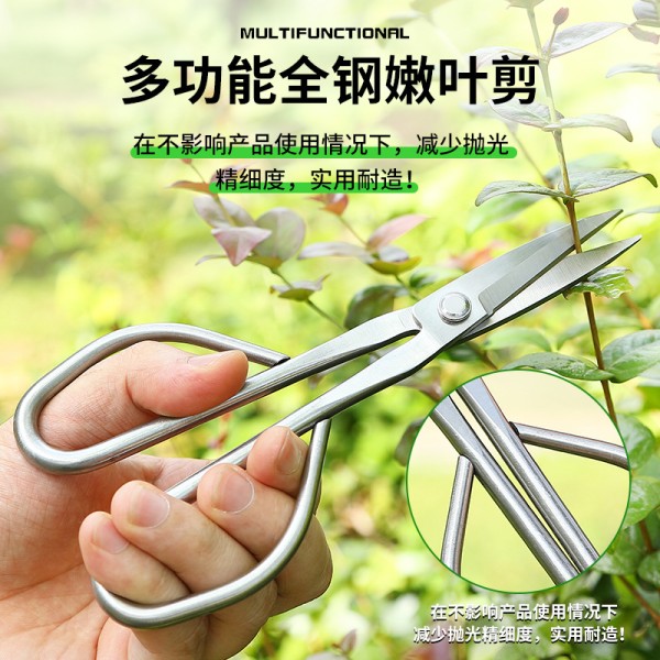 嫩叶剪刀盆景工具树枝剪加长不锈钢园艺剪嫩叶芽修枝剪全钢剪刀