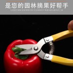 不锈钢罗定果剪摘果小黄剪刀采果剪桔子剪柑橘剪蔬果剪园艺修枝剪