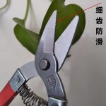 不锈钢罗定果剪摘果小黄剪刀采果剪桔子剪柑橘剪蔬果剪园艺修枝剪