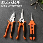 不锈钢树枝剪刀修枝剪家用园艺剪果园花艺专用摘果神器园林工具剪