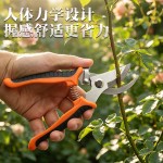 不锈钢树枝剪刀修枝剪家用园艺剪果园花艺专用摘果神器园林工具剪