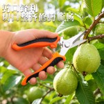 不锈钢树枝剪刀修枝剪家用园艺剪果园花艺专用摘果神器园林工具剪