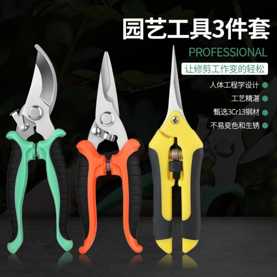 修枝剪园艺剪刀套装盆景果园花枝果树枝园林多用途工具不锈钢