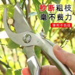 全钢修枝摘果剪刀弯头修枝尖头摘果园艺套装自动回弹防滑树枝剪刀
