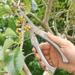 全钢修枝摘果剪刀弯头修枝尖头摘果园艺套装自动回弹防滑树枝剪刀
