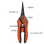 园艺剪枝剪刀修枝剪果树修剪树枝剪刀园林工具跨境批发