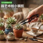不锈钢修枝剪套装园林花园果树剪花艺花枝剪园艺鲜花剪刀工具套装