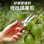 不锈钢修枝剪套装园林花园果树剪花艺花枝剪园艺鲜花剪刀工具套装