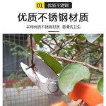 塑料柄不锈钢园林修枝剪园艺多功能果枝剪荔枝龙眼采果剪嫩芽剪刀