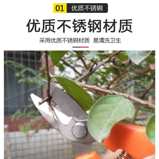 塑料柄不锈钢园林修枝剪园艺多功能果枝剪荔枝龙眼采果剪嫩芽剪刀
