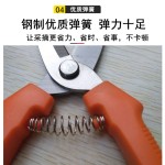 塑料柄不锈钢园林修枝剪园艺多功能果枝剪荔枝龙眼采果剪嫩芽剪刀