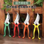 强力修枝剪刀不锈钢园林园艺剪嫁接摘果剪果园专用树枝剪摘果神器