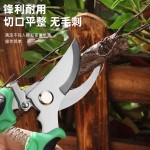 强力修枝剪刀不锈钢园林园艺剪嫁接摘果剪果园专用树枝剪摘果神器