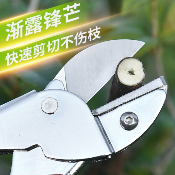 SK5钢 修枝剪刀园林果树粗枝花剪大力修剪树枝园艺剪刀剪子省力