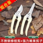 园林剪果枝剪花枝剪子彩色修枝剪园林剪刀家用剪子果树盘栽修叶剪