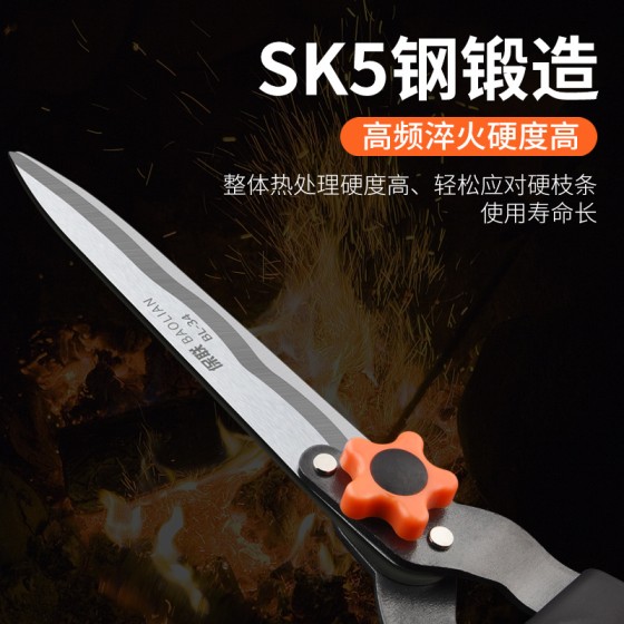园林工具园艺大剪刀修花剪绿化修枝剪树枝果树强力草坪花木绿篱剪