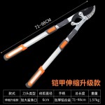 园林工具园艺大剪刀修花剪绿化修枝剪树枝果树强力草坪花木绿篱剪